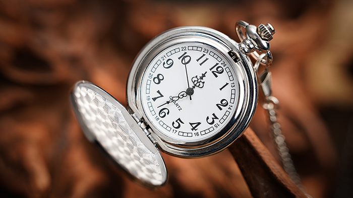 Gemini Watch