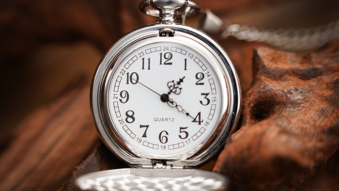 Gemini Watch