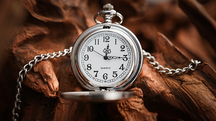 Gemini Watch