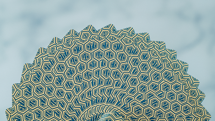 No Borders Honeycomb Playing Cards
