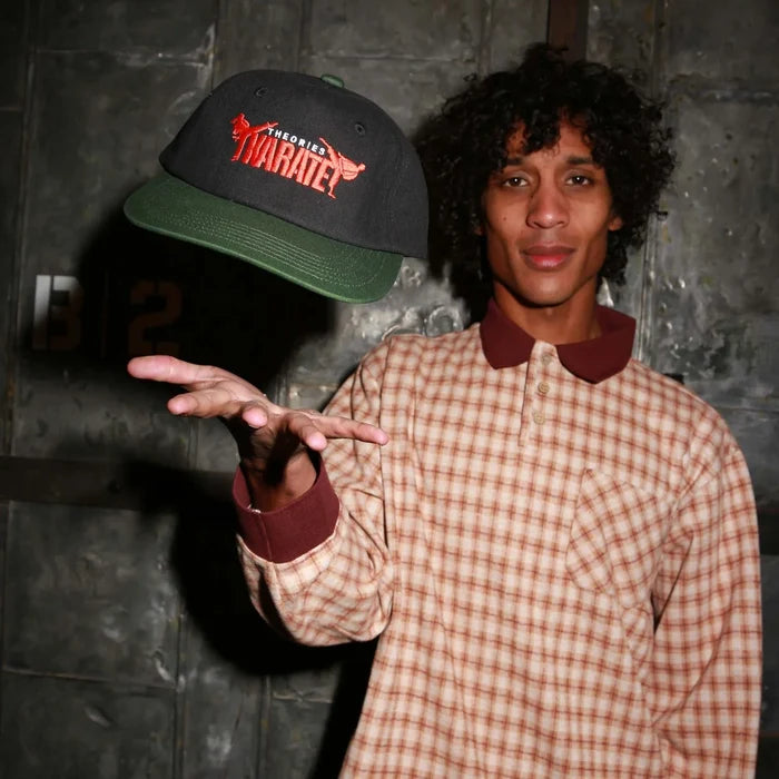 Theories Karate Black Snapback Hat